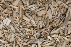 biomass boilers Circebost